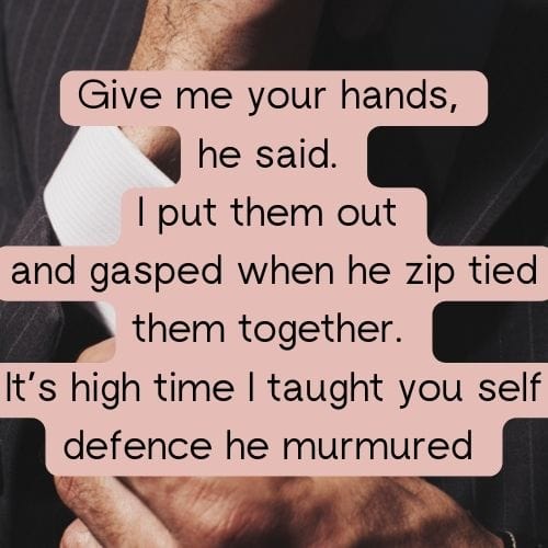 Bossy Billionaires Club - eBook Bundle